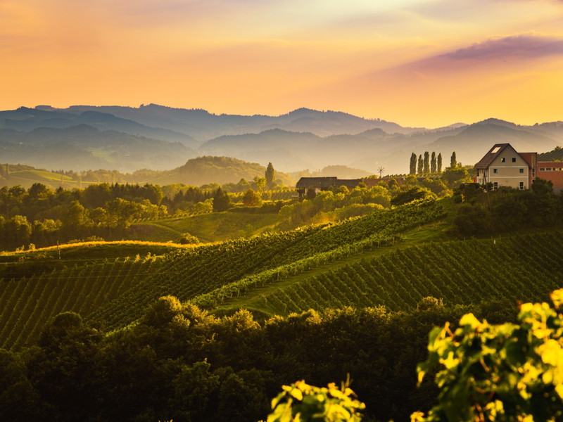 View from famous wine street in south styria, Austria on tuscany like vineyard hills. Tourist destination