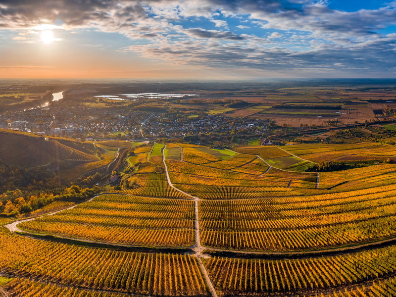 Das ungarische Weinbaugebiet Tokaj bietet nicht nur eine beeindruckende Aussicht.