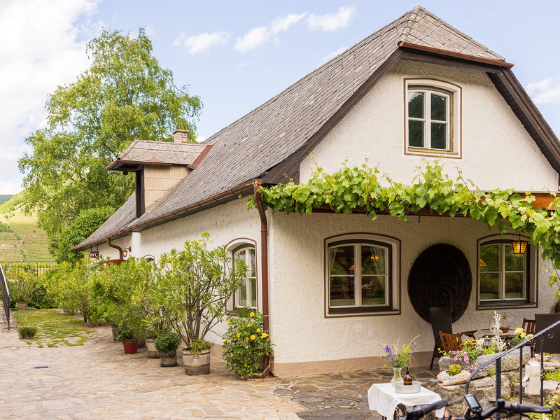 Weinhauer Brustbauer ist zurück - mit Wein aus 100% Seihmost.