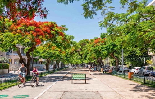 Das »North Abraxas« 
von Eyal Shani gehört zu den angesagtesten Restaurants in 
Tel Aviv. Der Rothschild-
Boulevard im Zentrum der Metropole.
