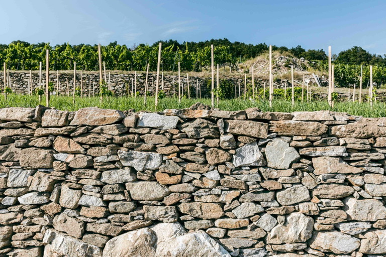 Eine Trockensteinmauer in der Wachau.