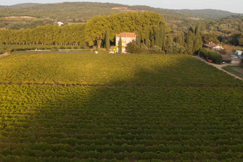 Das Château Minuty in St. Tropez.