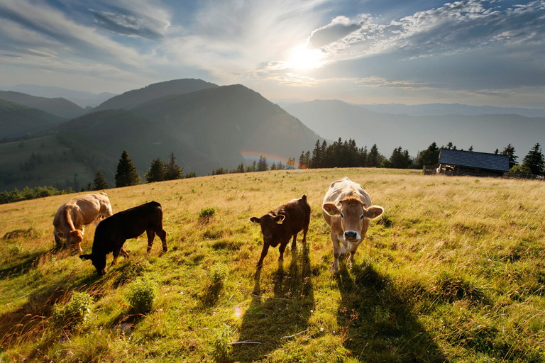 Teichalm Hochlantsch
