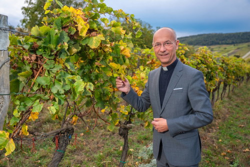 33 Jahre Weingut Hillinger Jubiläum, Weingut Leo Hillinger, Jois, Burgenland, 17.10.2023,
- 
Toni Anton FABER (Portrait)