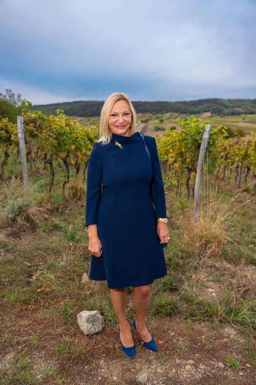 33 Jahre Weingut Hillinger Jubiläum, Weingut Leo Hillinger, Jois, Burgenland, 17.10.2023,
- 
Ingrid FLICK