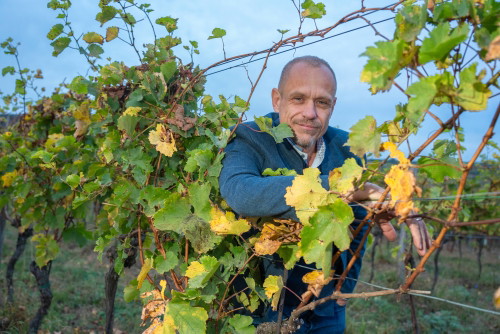 33 Jahre Weingut Hillinger Jubiläum, Weingut Leo Hillinger, Jois, Burgenland, 17.10.2023,
- 
Gery KESZLER