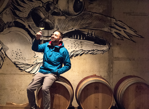 Im Jahr 2019 wurde Christoph Neumeister aus dem Vulkanland zum Falstaff-Winzer des Jahres gekürt. Seine Top-Sauvignon Blancs heißen Ried Moarfeitl und Alte Reben.