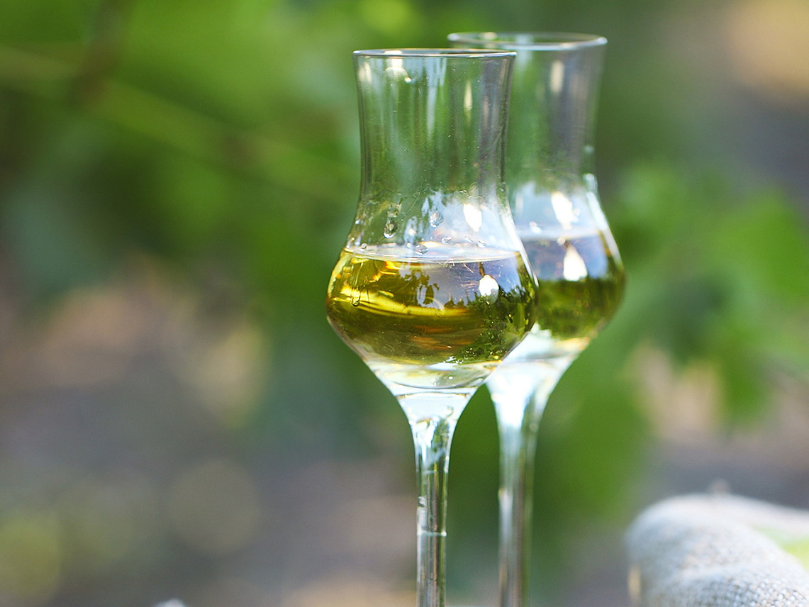 Schon die Römer haben Grappa produziert