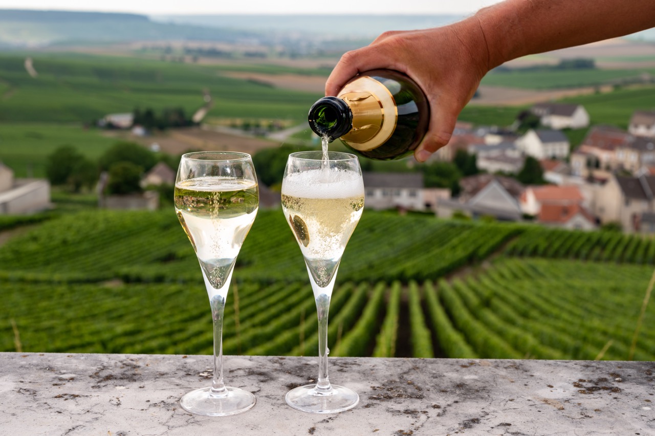 Voltis: Neue Piwi-Sorte überzeugt bei Blindverkostung in der Champagne ...