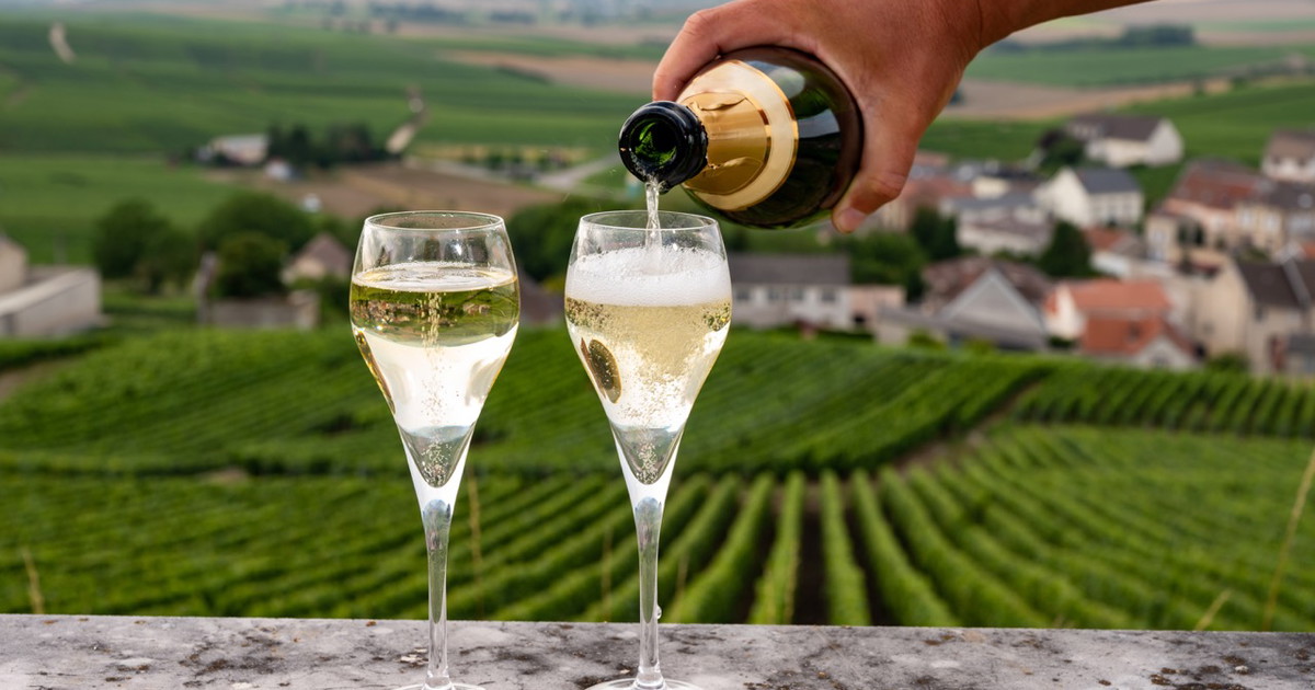 Voltis: Neue Piwi-Sorte überzeugt bei Blindverkostung in der Champagne ...