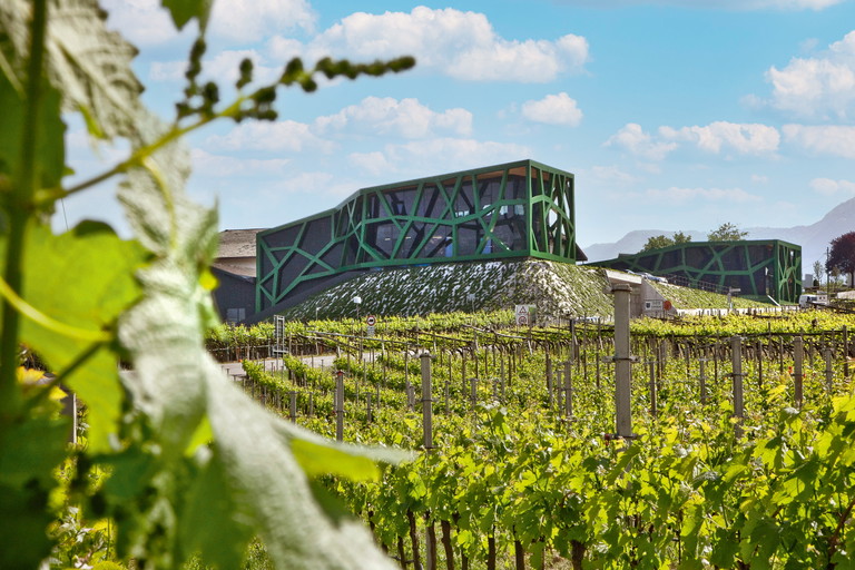Die Cantina Tramin in Südtirol beeindruckt nicht nur durch ihre stoffigen Gewürztraminer, sondern auch mit sehenswerter Architektur.