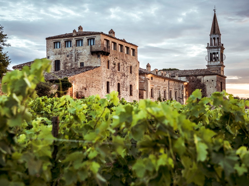 Masciarelli erstand das alte Castello di Semivicoli und gestaltete es zu einem Hotel mit feinen Zimmern um. Rings um das Schloss wachsen Trebbiano-Trauben.