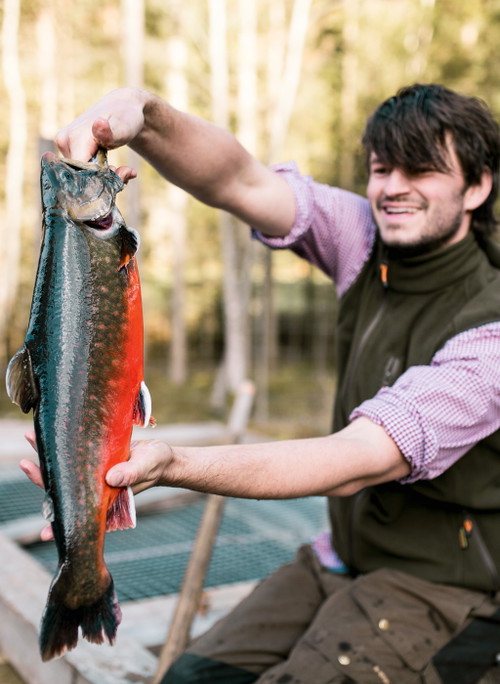 Michael Wesonigs Fische in seinem Refugium »Michi’s frische Fische« sind echte Steirer und verbinden sich oft gar köstlich. Zum Beispiel das Bio-Gebirgssaiblingsfilet mit Kürbisrisotto.