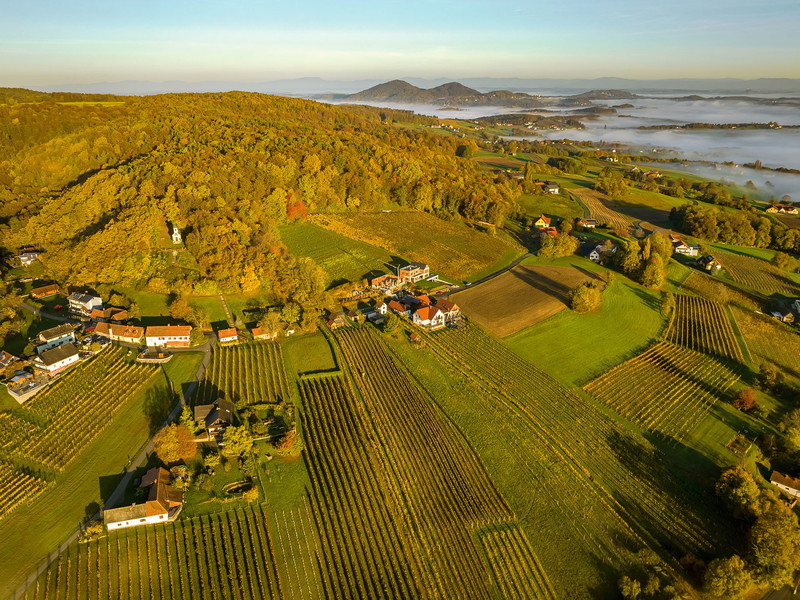 Im östlichen Teil der Steiermark wachsen die Reben auf vulkanischen Gesteinsformationen.