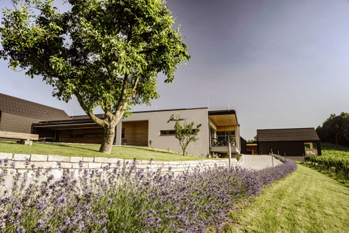 Die Weine vom Weingut Skringer stehen für 100 Prozent Südsteiermark und 100 Prozent Handlese. 