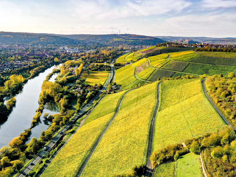 Der Main gliedert das Anbaugebiet Franken, und die wärmsten Lagen – wie hier in Randersacker die Lagen Pfülben und Teufelskeller – schmiegen sich alle an sein Ufer. Doch viele Weinberge liegen auch eine halbe Autostunde entfernt vom Fluss.