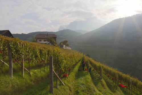Die »Buschenschank Ebner«.