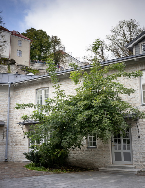 Courtyard room with private entrance.