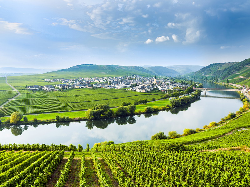 Das deutsche Sektschaffen ist vom Zweiklang zwischen Riesling und Champagnersorten geprägt.