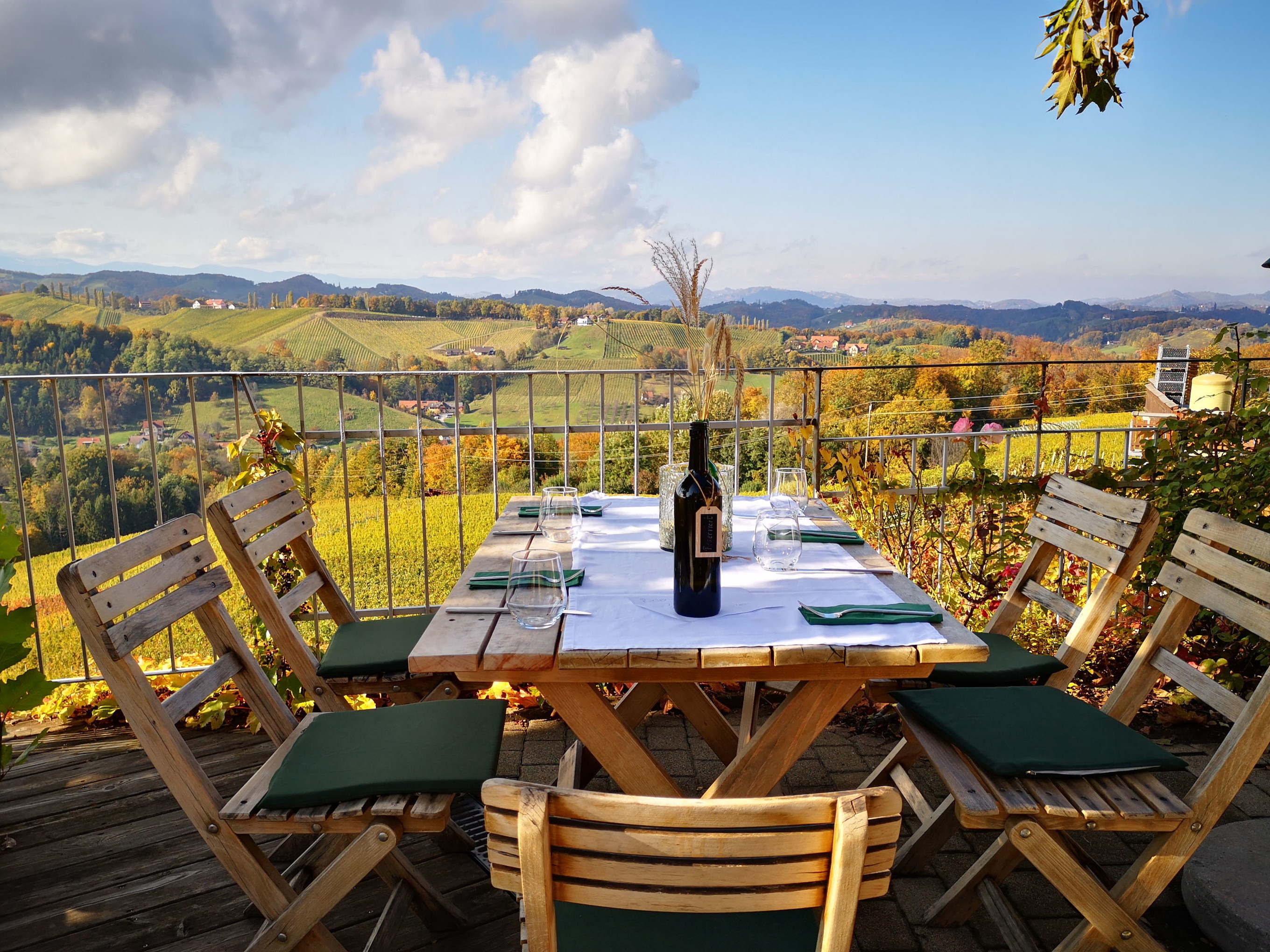Mittagessen mit Ausblick auf die steirischen Weinberge.