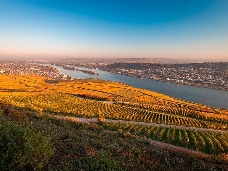 © Shutterstock