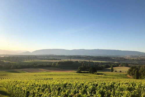 Die Domaine Les Hutins.