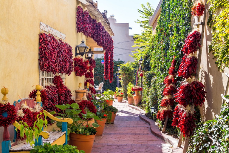 Auf Plantagen in Albuquerque, New Mexico, säumen Chilipflanzen vereinzelt den Weg.