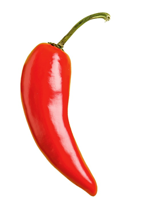 Jalapeño: In der Tex-Mex-Küche wird sie meist grün gegessen, reif ist sie rot. Und geröstet trägt sie als Star jedes BBQ den Namen Chipotle.
