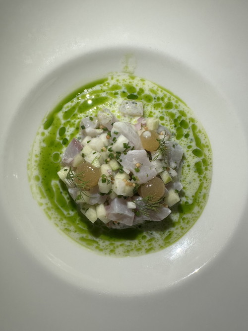 Forellen Ceviche mit Apfel, Gurke und Buttermilch.