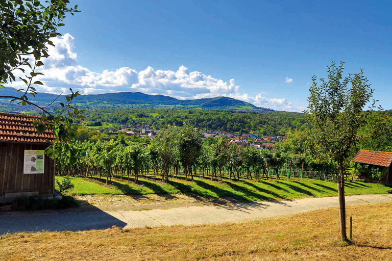 So schön ist es am Rand der Schwäbischen Alb: Diev gärtnerisch gepflegten Reben des Winzers Helmut Dolde wachsen bis auf über 500 Meter Höhe.