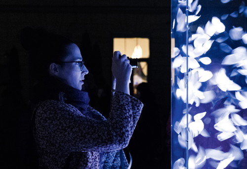 Mit der Installation »Njörd – Spirit of the Wind« kam das Künstlerkollektiv »WeComeInPeace« 
zum Klanglicht 2016. 
Njörd ist ein Tribut 
an den skandinavischen 
Gott des Windes.