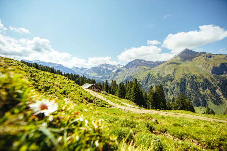 Ruhiger als im benachbarten Gasteinertal, dafür umso märchenhafter geht es im üppig grünen Raurisertal zu.