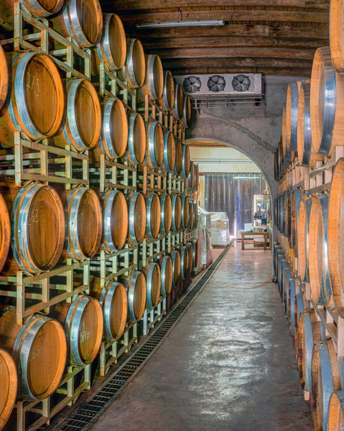 In Coahuila in Parras lohnt ein Besuch in der traditionsreichen Bodega Rivero González.