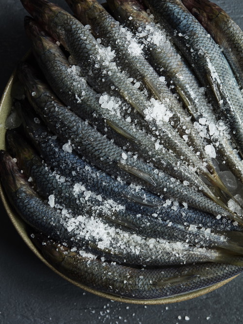 The "Seafood Gastro".