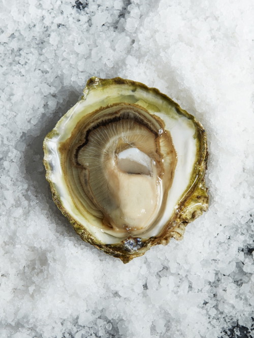 The "Seafood Gastro".