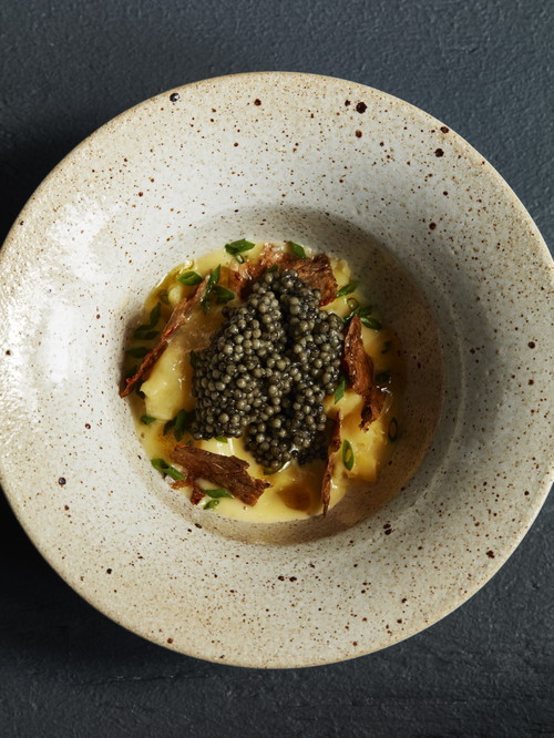 The "Seafood Gastro".