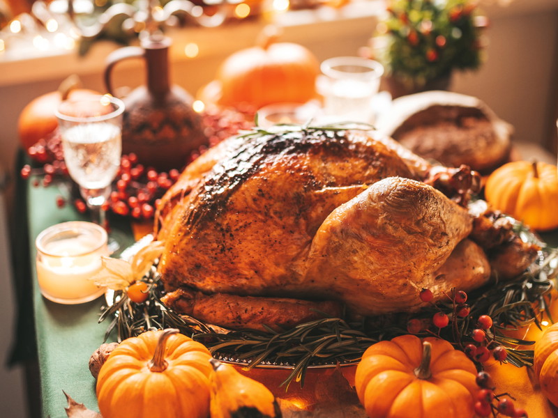 Der Superstar des Thanksgiving-Dinners: Ein unwiderstehlich köstlicher Truthahn.