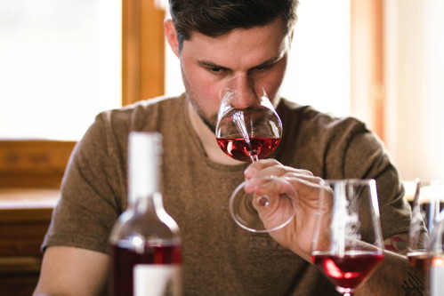 Seit vielen Generationen pflegt die Familie von Fabian Bayr das bereits 1765 gegründete und legendären Schilcherweingut Trapl.