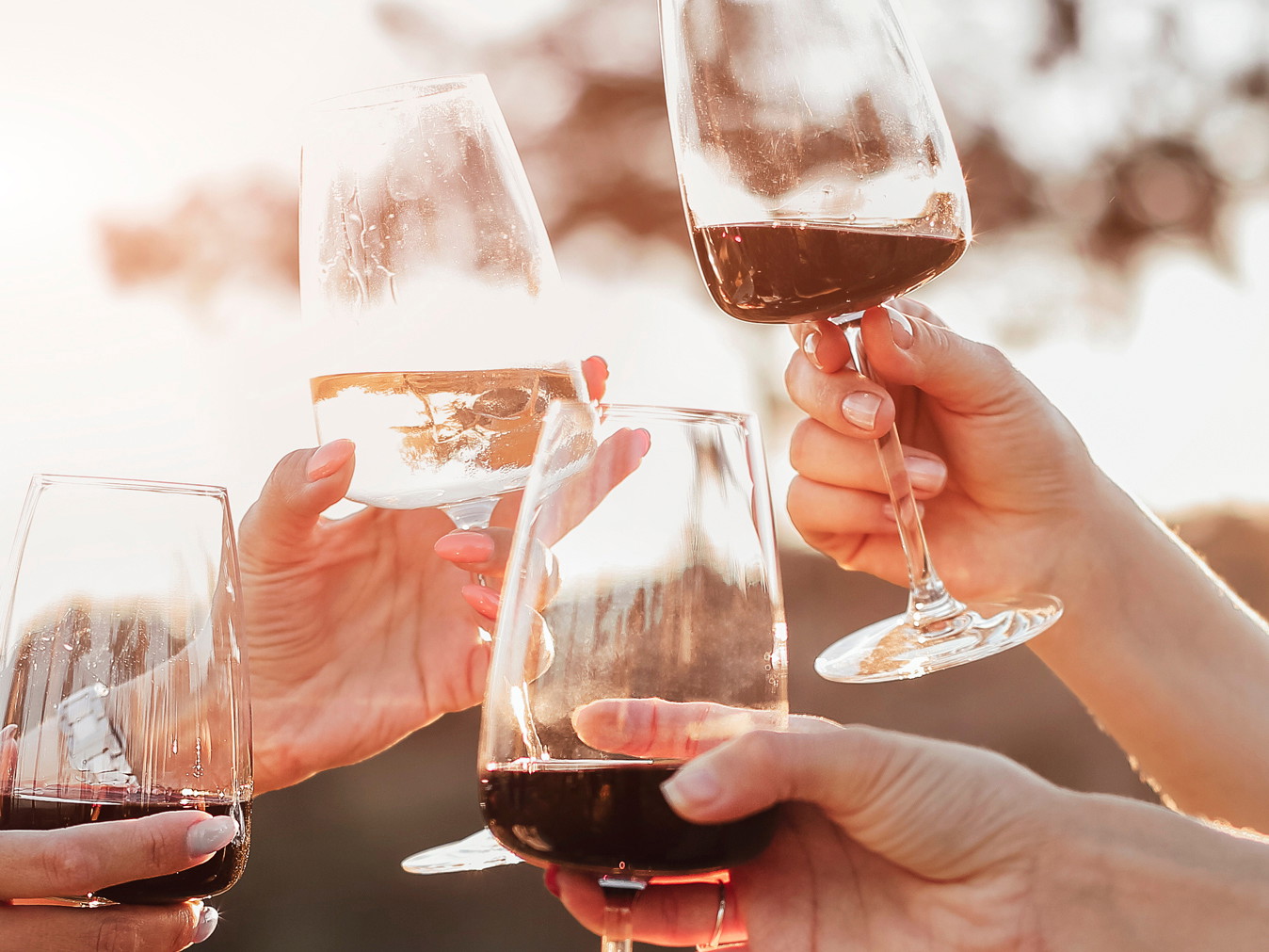 »The Taste of Friendship«: Deutsch-israelische Weinfreundschaften.