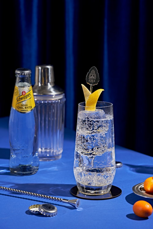 Schweppes Indian Tonic
