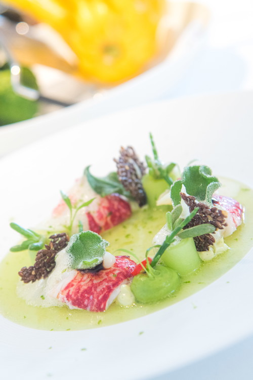 Bretonischer Hummer mit Gurke, Kaffir-Limette, Yuzu.