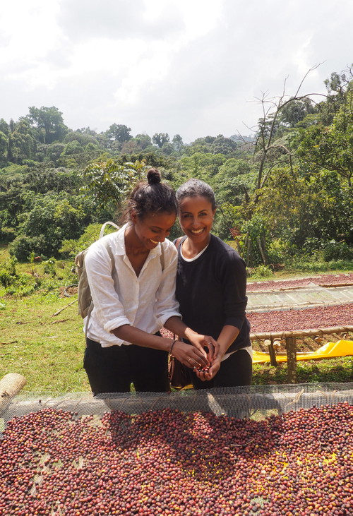 Vorbildhaft - Kaffee ist Spitzenreiter unter den fair gehandelten Produkten. Kaffeehersteller haben ein ureigenes Interesse daran, Ressourcen zu schonen und dem Klimawandel entgegenzutreten.