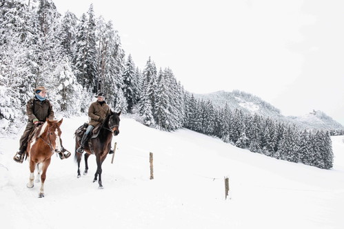 700 Kilometer Reitwege gibt es allein in der Region Mühlkreis nahe der tschechischen Grenze.