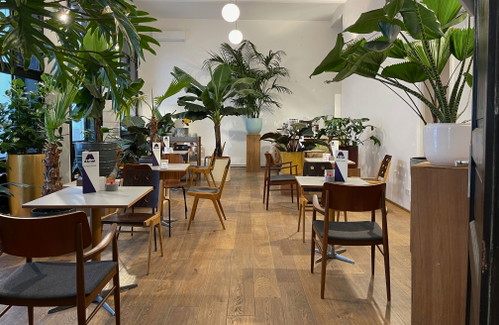 Im »Akrap« sorgen Pflanzen für gemütliche Coffeeshop-Atmosphäre.