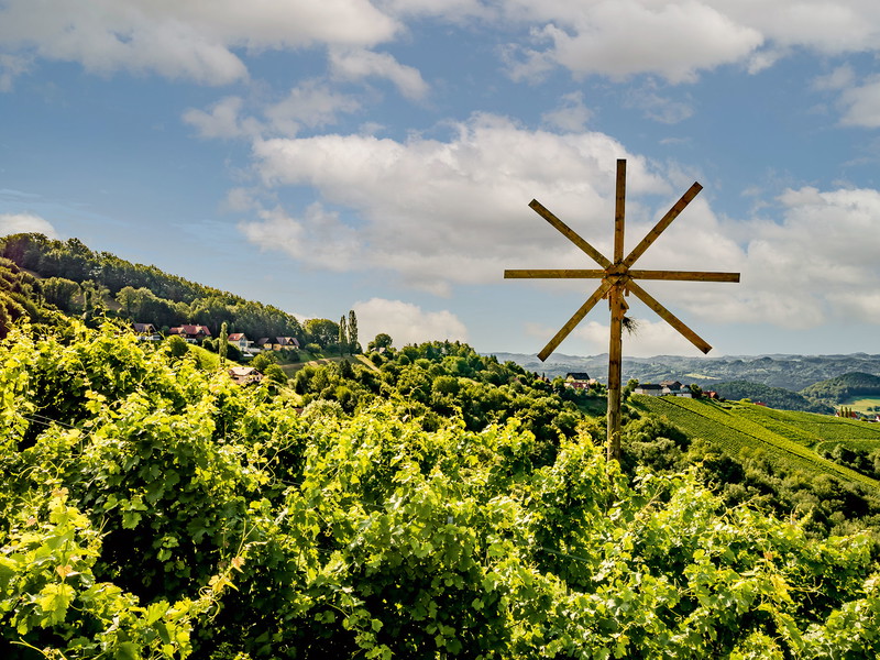 Die Weinberge der Steiermark bringen einzigartige Weißweine aus Sauvignon Blanc hervor.