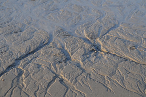 Das flache Wasser der Nordsee.