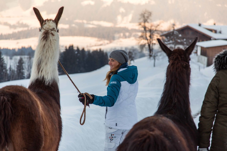 Tierische Lehrmeister für Gelassenheit: Lamas führen einen weg vom Stress des Alltags.