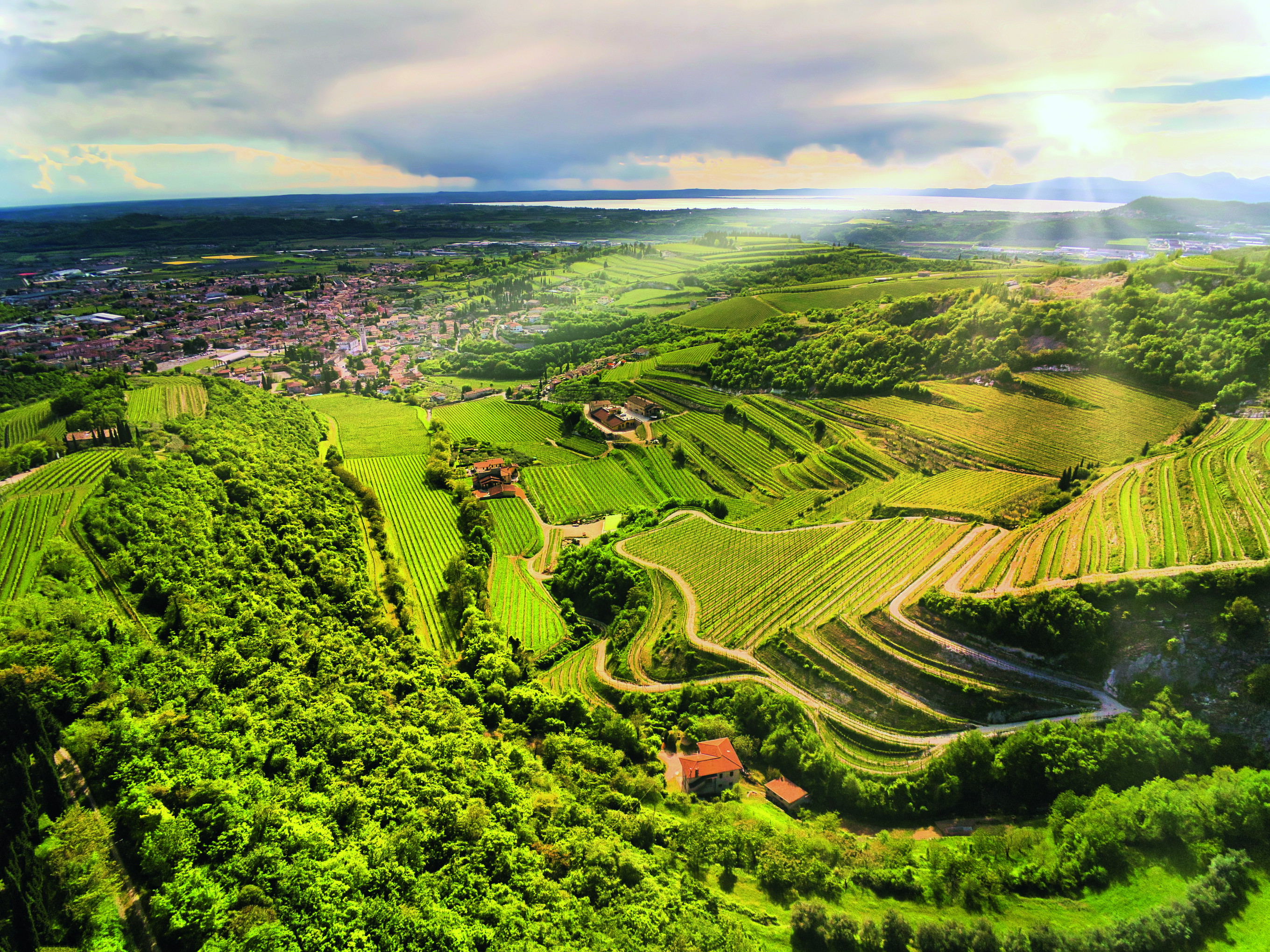 Herrlich! Von den Weinbergen der westlichen Valpolicella, hier bei Sant'Ambrogio, fällt der Blick bis zur spiegelnde Fläche des Gardasees. 
