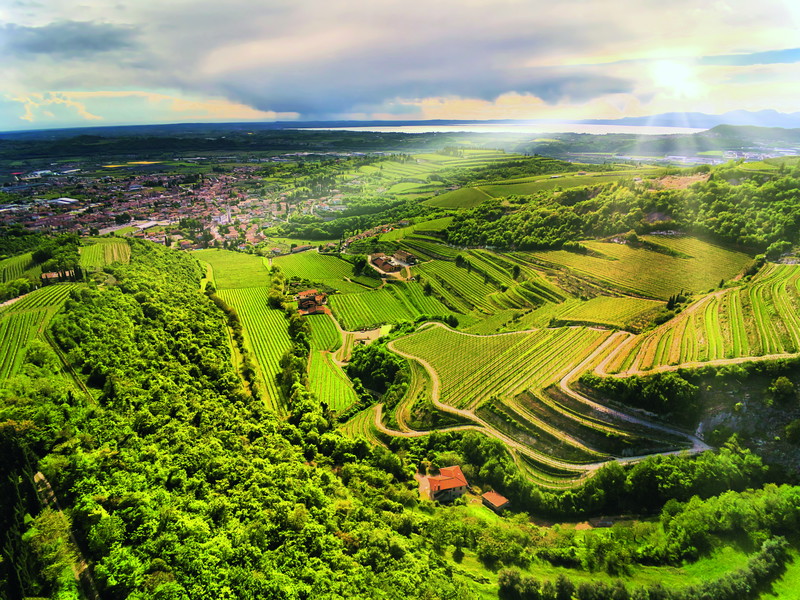 Herrlich! Von den Weinbergen der westlichen Valpolicella, hier bei Sant'Ambrogio, fällt der Blick bis zur spiegelnde Fläche des Gardasees. 