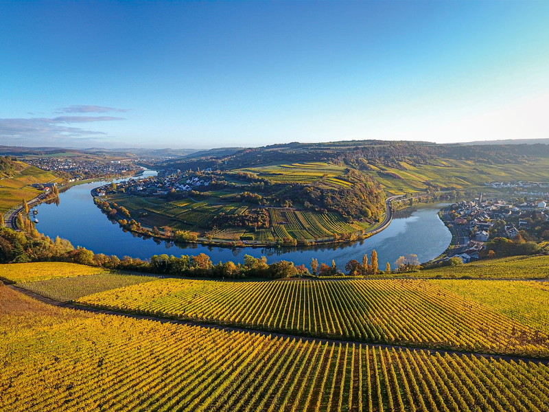 Die kontinuierlichen innovativen Verbesserungen im Anbau und Ausbau zeigen positiv in die Zukunft und sind Ausdruck der weiter wachsenden Attraktivität der luxemburgischen Crémants.